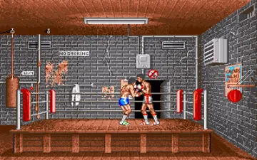 Ringside Boxing screen shot game playing